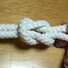 Square Knot or Reef Knot